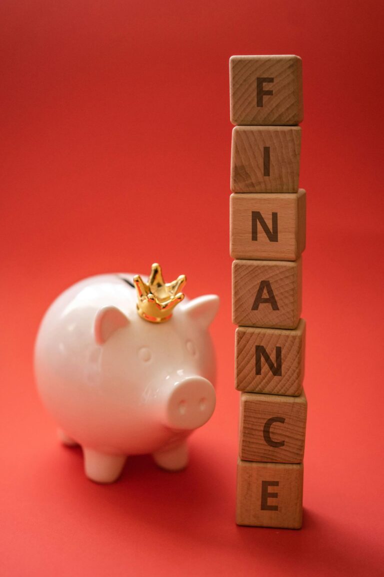 A piggy bank wearing a crown sits beside wooden blocks spelling 'FINANCE' on a red backdrop.